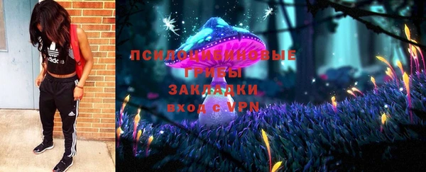 прущие крисы Новодвинск