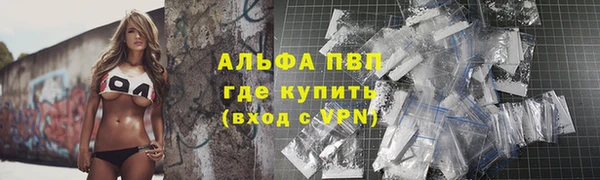 прущие крисы Новодвинск