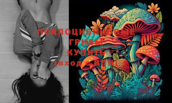 прущие крисы Новодвинск