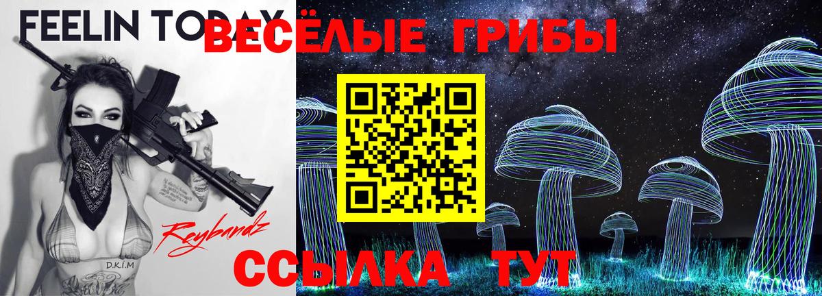 Галлюциногенные грибы Magic Shrooms  цены   Алушта 