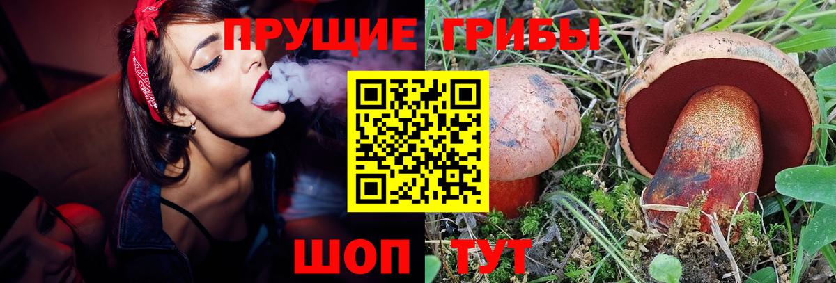 цена   Псилоцибиновые грибы мицелий  Вход с VPN  Алушта  Галлюциногенные грибы Magic Shrooms 