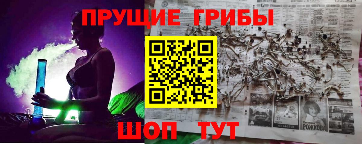 Алушта  Галлюциногенные грибы Cubensis  Вход с VPN 