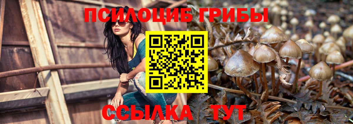 Псилоцибиновые грибы Psilocybine cubensis Алушта
