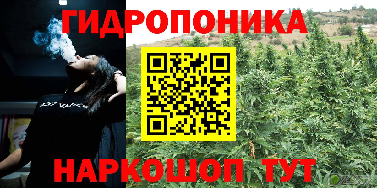 Канабис White Widow  Конопля план  Алушта  Бошки марихуана VHQ  Вход с VPN 